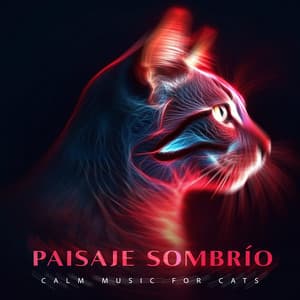 Paisaje Sombrío - Calm Music for Cats