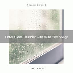 1 Enter Clear Thunder with Wild Bird Songs - Deep Rain Sampling