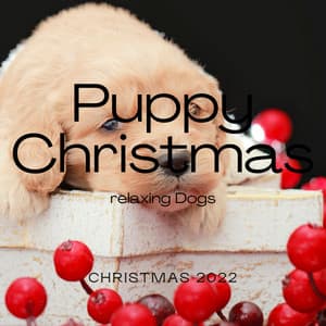 A Puppy Christmas - Relax My Puppy