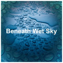 Beneath Wet Sky - Rainfall Place