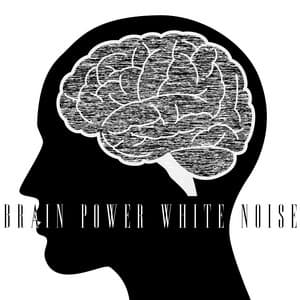Brain Power White Noise - White Noise Collection