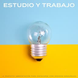 Estudio Y Trabajo: La Perfecta Ambientación Para Enfocarse Con Sonidos Binaurales - Música para estudiar duro