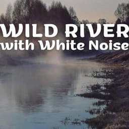 Wild River with White Noise - Life River Sound