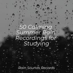50 Calming Summer Rain Recordings for Studying - Rising Higher Meditation