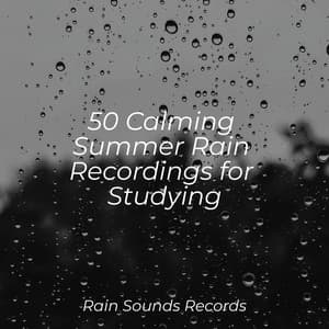 50 Calming Summer Rain Recordings for Studying - Rising Higher Meditation