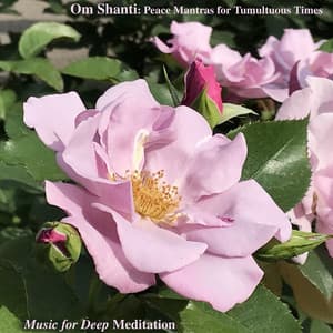Om Shanti: Peace Mantras for Tumultuous Times - Music for Deep Meditation