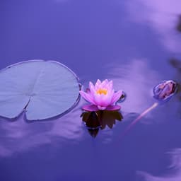 Sleep White Noise. Noise to Sleep. Baby Noise Machine - Baby Soothing Music for Sleep