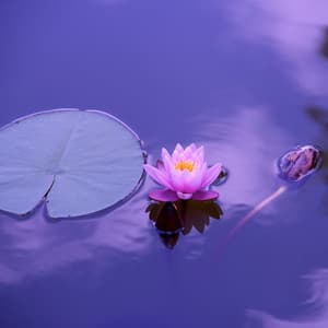 Sleep White Noise. Noise to Sleep. Baby Noise Machine - Baby Soothing Music for Sleep