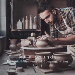 Rain Sounds: Peaceful Showers of Concentration Vol. 1 - Empty Space