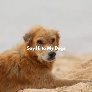 Say Hi to My Dogs - Jazz & Study Playlist