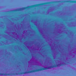 Fabulous - Lonely Cats - Relaxing Music for Cats