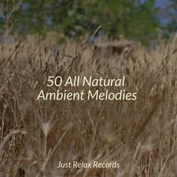 50 All Natural Ambient Melodies - Nature Sound Collection