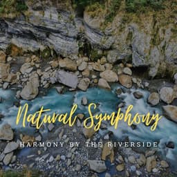 Stream's Natural Symphony: Harmony by the Riverside - Meteoric Stream