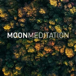 Meditation Waves - Relaxing Music