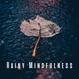Rainy Mindfulness: Chill Sounds for Meditative Bliss - Cloud Cover