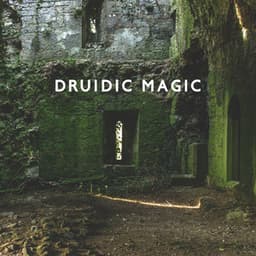 Druidic Magic - Reiki Raj