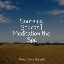 Soothing Sounds | Meditation the Spa - Sonido Del Bosque y Naturaleza