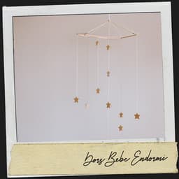 Chansons pour Endormir les Bébés : Berceuses pour Rêver - Canciones para Bebes Y Musica Para Bebe