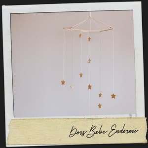 Chansons pour Endormir les Bébés : Berceuses pour Rêver - Canciones para Bebes Y Musica Para Bebe