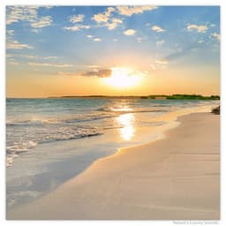 Nature Soundscapes - Soundscapes!