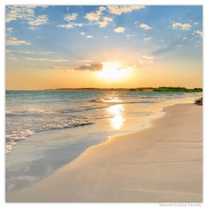 Nature Soundscapes - Soundscapes!