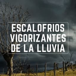 Escalofríos Vigorizantes De Lluvia - La lluvia es mi vida