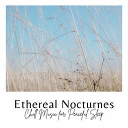 Ethereal Nocturnes: Chill Music for Peaceful Sleep - Shush Shush Shush