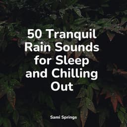 50 Tranquil Rain Sounds for Sleep and Chilling Out - Sleep Meditation Dream Catcher
