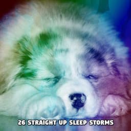26 Straight up Sleep Storms - The Rain Library