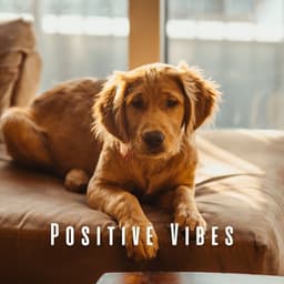 Positive Vibes: Songs to Serenade Your Dog - Intentional Vibes