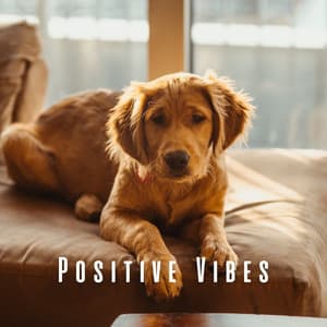 Positive Vibes: Songs to Serenade Your Dog - Intentional Vibes