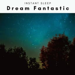 2022 Dream Fantastic - Natural Symphony