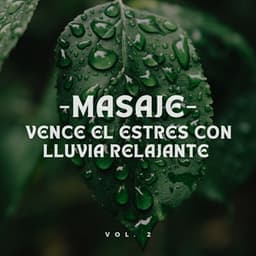 Masaje: Vence el Estrés con Lluvia Relajante Vol. 2 - HD lluvia y agua