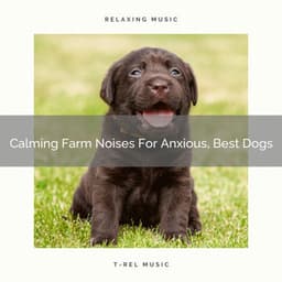 Calming Farm Noises For Anxious, Best Dogs - Pets Total Relax