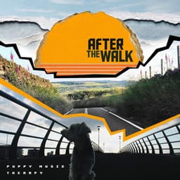 After the Walk - Puppy Music Therapy