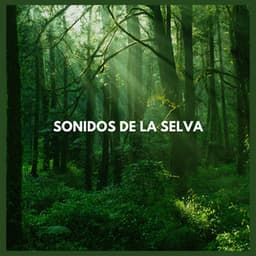 Sonidos de la Selva - Sonidos De La Selva
