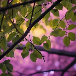 Serene Soundscapes for Relaxation and Calm - Calm Music Guru