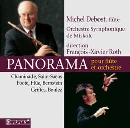 Panorama - Michel Debost