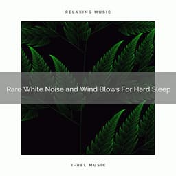 2020 Best: Rare White Noise and Wind Blows For Hard Sleep - White Noise Radiance
