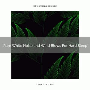 2020 Best: Rare White Noise and Wind Blows For Hard Sleep - White Noise Radiance