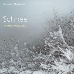 Schnee - Hans Abrahamsen