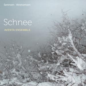 Schnee - Hans Abrahamsen