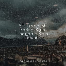 50 Tracks of Spring Rain Loopable Rain Sounds - Relaxing Mindfulness Meditation Relaxation Maestro