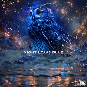 Night Leaks Blue - Bird Sounds