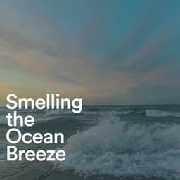 Smelling the Ocean Breeze - Ocean in HD