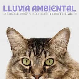 Lluvia Ambiental: Agradable Armonía Para Gatos Dormilones Vol. 1 - Fábrica De Lluvia