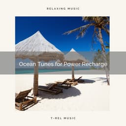 Ocean Tunes for Power Recharge - Sonidos de la Naturaleza para Dormir