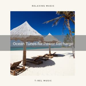 Ocean Tunes for Power Recharge - Sonidos de la Naturaleza para Dormir