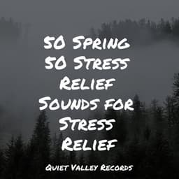 50 Spring 50 Stress Relief Sounds for Stress Relief - Sleep Tight
