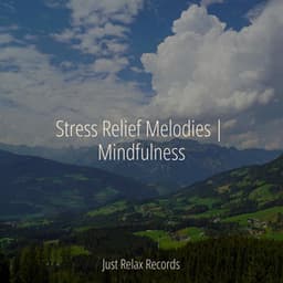 Stress Relief Melodies | Mindfulness - CANCIONES DE CUNA